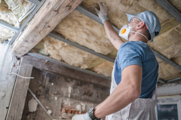 Best Attic Insulation Installation  in Woodridge, IL