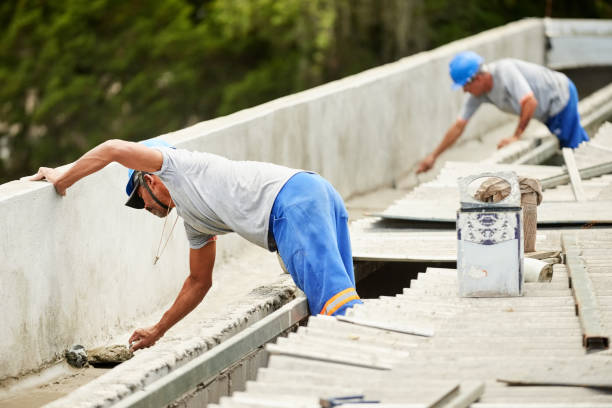 Best Insulation Repair Services  in Woodridge, IL
