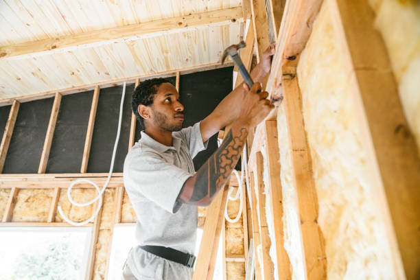 Insulation Contractors for Homes in Woodridge, IL