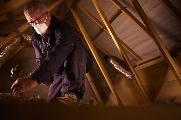 Best Insulation Contractor Near Me  in Woodridge, IL